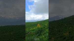 Таджикистан 🇹🇯