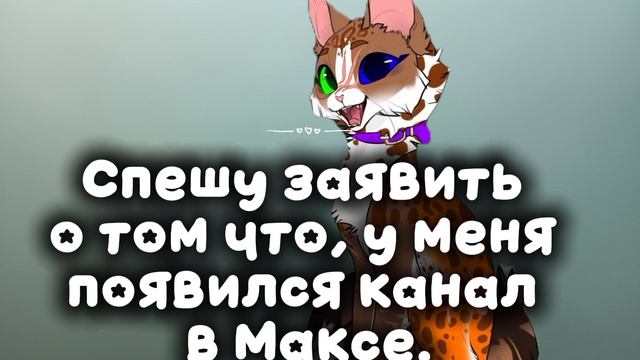 Создала канал в Максе (описание)