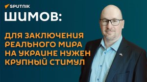 Шимов: для заключения реального мира на Украине нужен крупный стимул