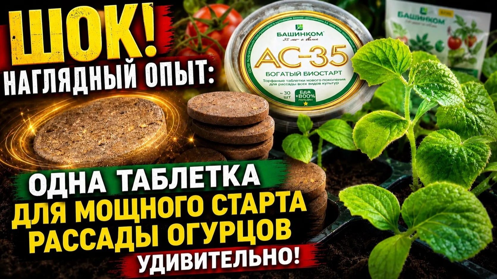 Одна таблетка АС-35 Богатый биостарт – и огурцы растут!