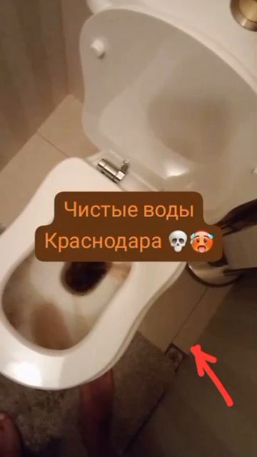 родниковые воды - Краснодара 💀💀💀 смотреть онлайн