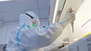 Спецслужбы США начинают масштабное расследование деятельности своих биолабораторий за рубежом.
