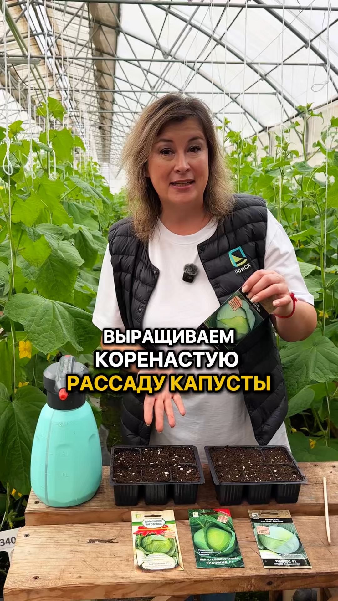 Как вырастить коренастую капусту?