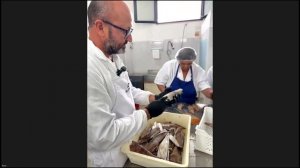 Магия Тирренского моря: От сети до баночки