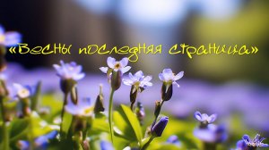 Виртуальная литературно-поэтическая зарисовка «Весны последняя страница»