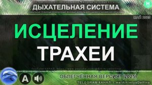 🌿 Глубокое Восстановление Трахеи 🌬️ Чистые Дыхательные Пути и Здоровое Горло
