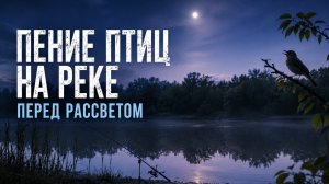 Спокойная атмосфера рассвета | Пение птиц у воды