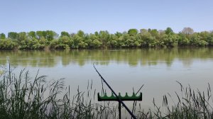 Сильный подъём воды на Кубани! Думал останусь без рыбы..
