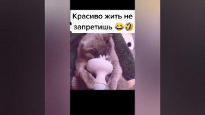 Сборник юмора 7