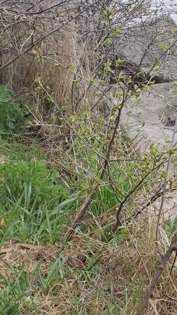1000029840.mp4
