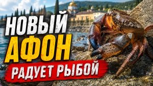 Новый Афон радует рыбой