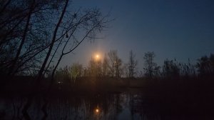 Рыбалка в начале мая 2026