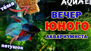 Вечерние хлопоты Юного Аквариумиста - реклакс с аквариумными рыбками