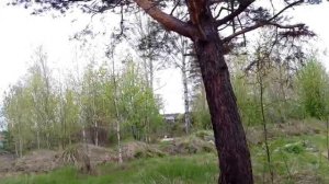 поход в лес