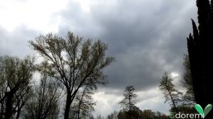 Adagio in Sol minore - Tomaso Albinoni
