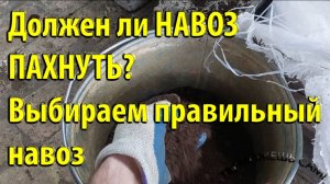 Должен ли НАВОЗ пахнуть? Выбираем правильный навоз
