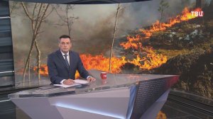 Борьбу с мощными природными пожарами ведут на Дальнем Востоке и в Сибири