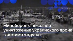 Минобороны показало уничтожение украинского дрона в режиме «ждуна»