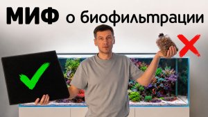 МИФ о биофильтрации