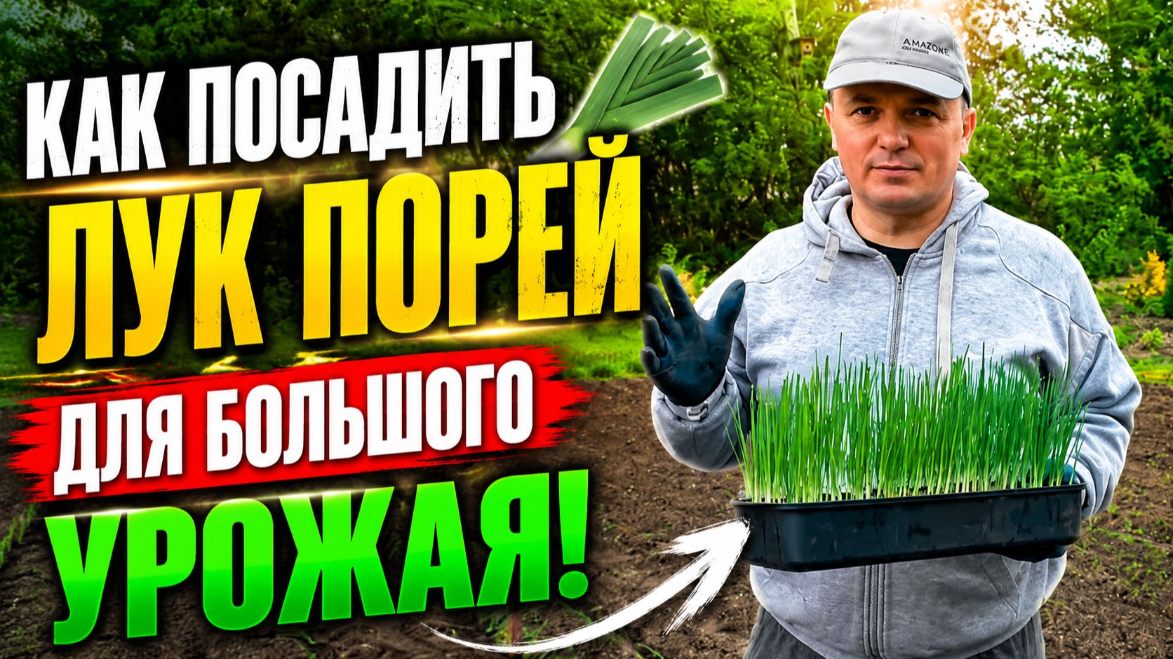 Как посадить лук порей для большого урожая.