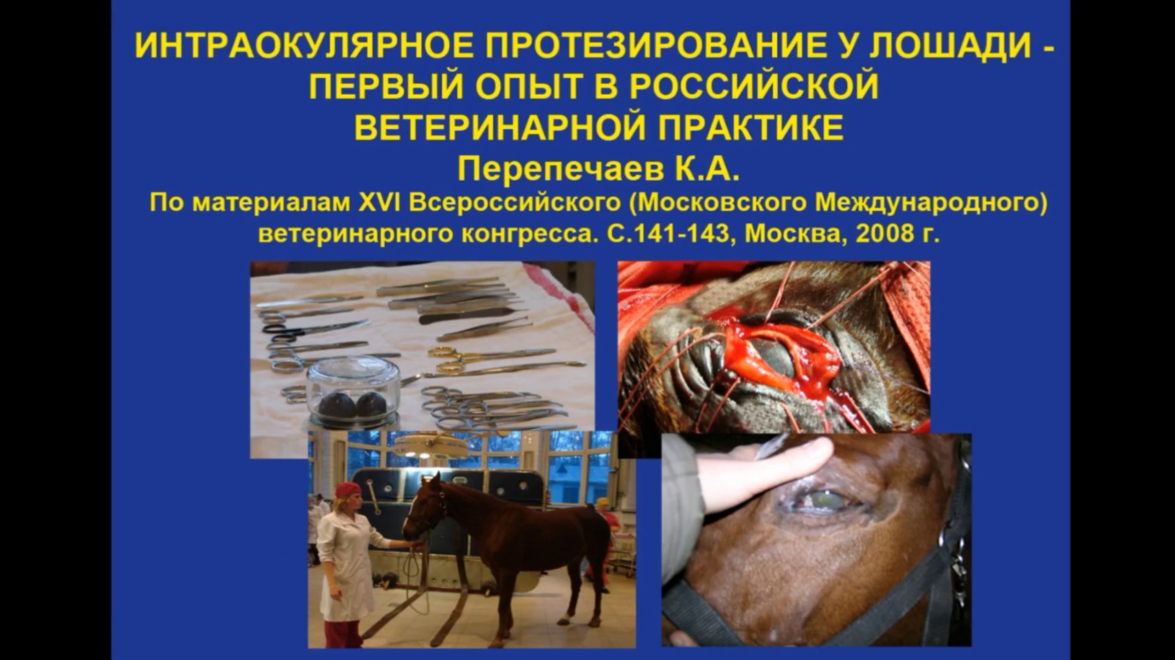 Интраокулярное протезирование (ИОП) у лошади 2007 год