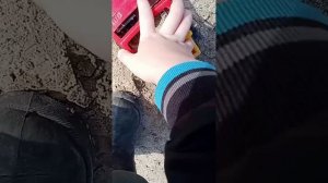 день тракториста