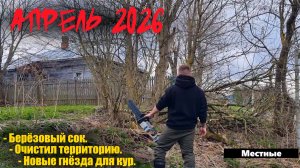 Все дела понемногу. Берёзовый сок, Ловушки, Гнёзда.