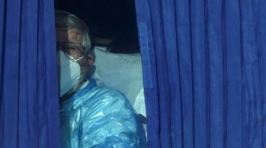 «Ожидается резкий всплеск»: глава ВОЗ об угрозе пандемии хантавируса