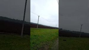 Рязанская область