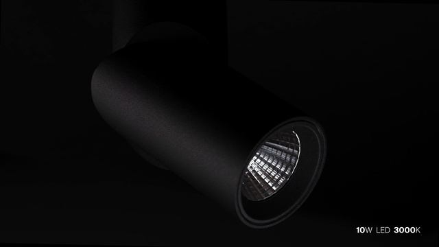Светильник Maytoni Dafne C027CL-L10B смотреть онлайн