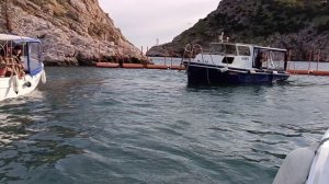 Дельфины 🐬 на закате в Балаклавской бухте.