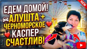 Отзыв об Усадьбе Приморский Парк🔥 Как добраться из Алушты до Черноморского. Встреча с Каспером