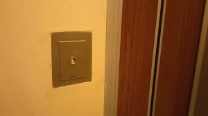 Грузопассажирский, пассажирский V=1 м-с, Q=320, 500 кг (5359)