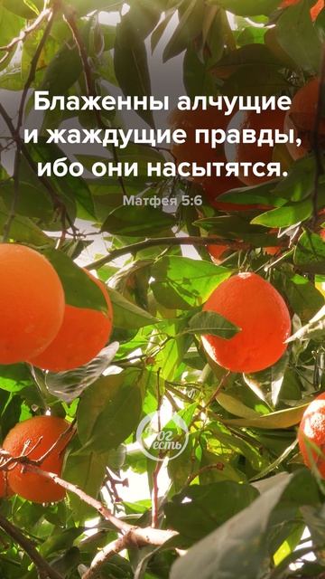 Матфея 5:6