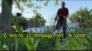 ❤️Завтрак на траве/ По плану жить не получается/ Новый домик для бройлера