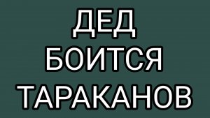 ДОМОСЕР - философ таракановед