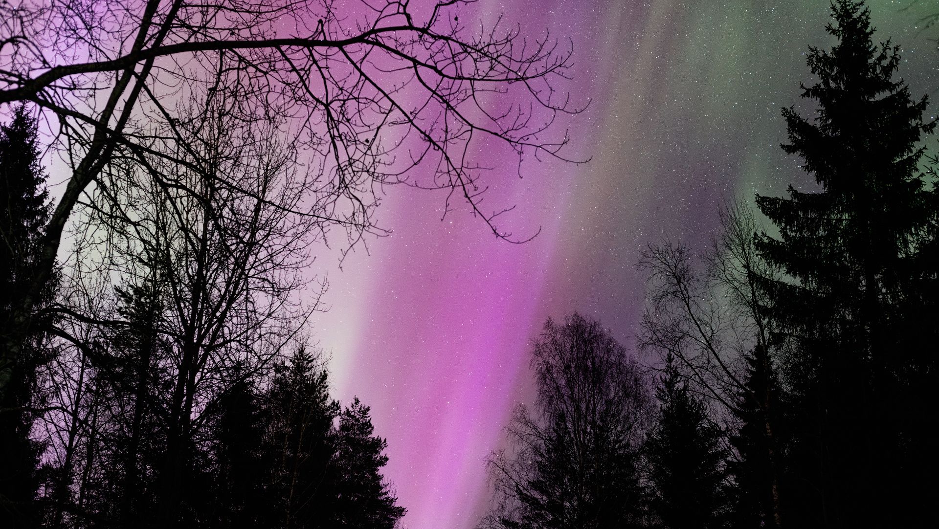 Aurora Borealis 2026