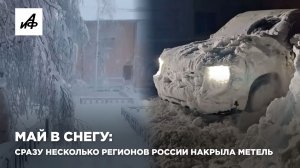 Май в снегу: сразу несколько регионов России накрыла метель