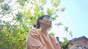Болталка на огороде. 12.05.2026