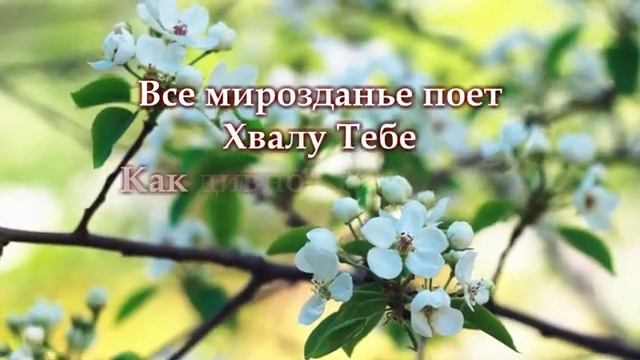 Из праха коры земной (караоке) смотреть онлайн