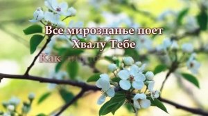 Из праха коры земной (караоке)