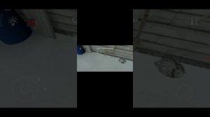 Играю в скулбой