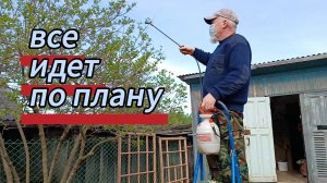 Все идёт по плану) 10.05.2026
