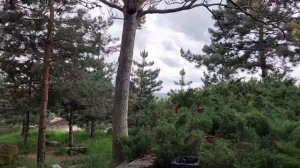 Иммерсивная экскурсия по Александровской крепости.
