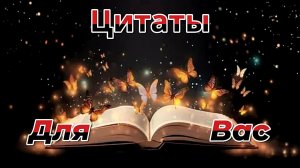 Цитаты