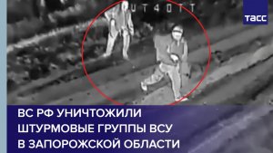 ВС РФ уничтожили штурмовые группы ВСУ в Запорожской области