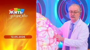 Жить здорово! Выпуск от 12.05.2026