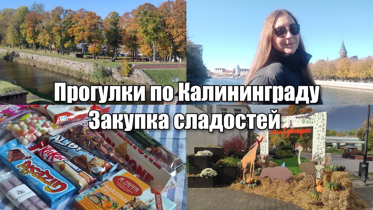 АРХИВ 2024 | vlog: Калининградский зоопарк | закупка сладостей | Рыбная деревня | 15-17.10.2024 смотреть онлайн