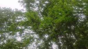 12 мая СЕНСАЦИЯ Магический не ☀️ прогноз погоды от волшебника Ивана Ивановича Кулебякина из