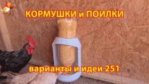 Кормушки и поилки для кур своими руками 251 🪚✂️ Пошаговая инструкция как сделать 🐔 🐓❣️